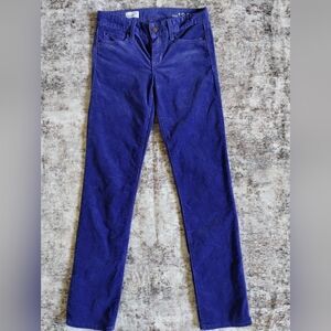 GAP Courdory Blue Straight Leg Pants 25